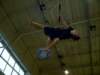 Photo Number 7